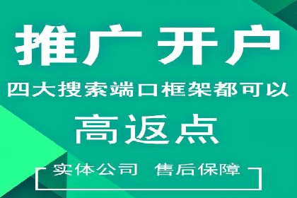 SEM外包服务应用案例分析